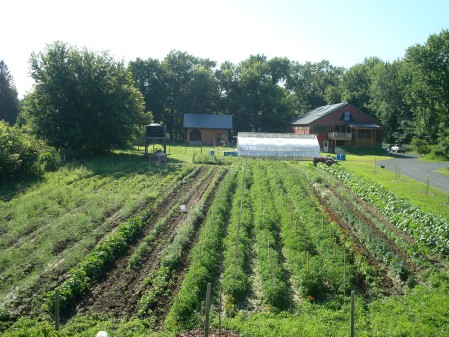 home garden (pick your own and perennials)